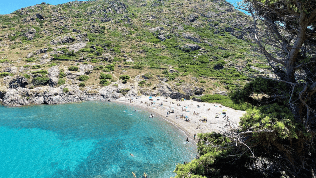 la-cala-tamariua