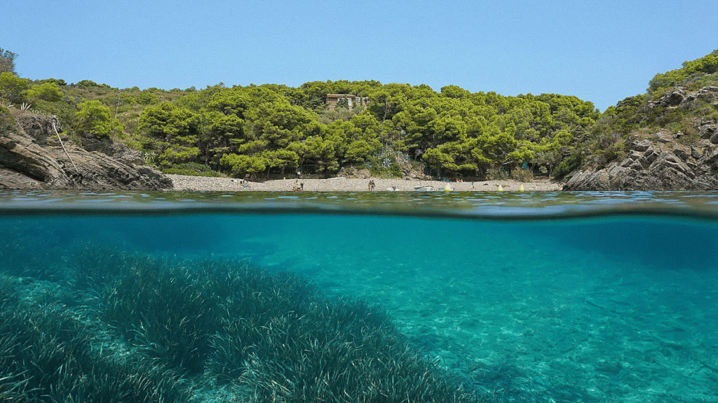 la-cala-guillola