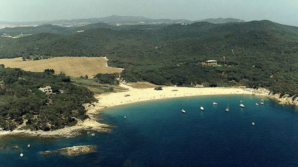 la-plage-vierge-platja-del-castell