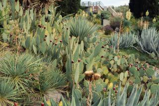 Jardin botanique Pinya de Rosa à Blanes