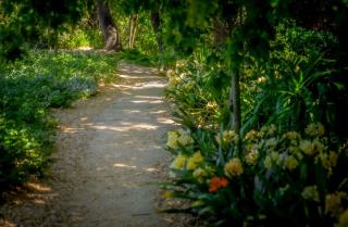 Le Jardin Botanique de Cap Roig, à Calella de Palafrugell
