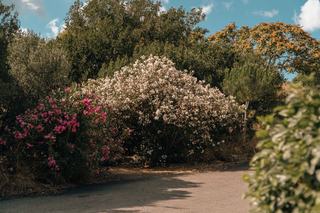 Jardins botaniques de la Costa Brava